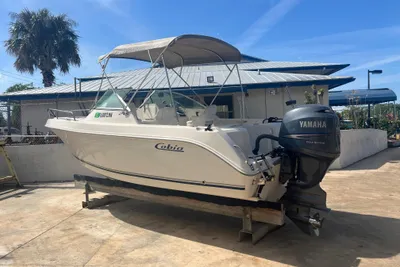 Cobia 214