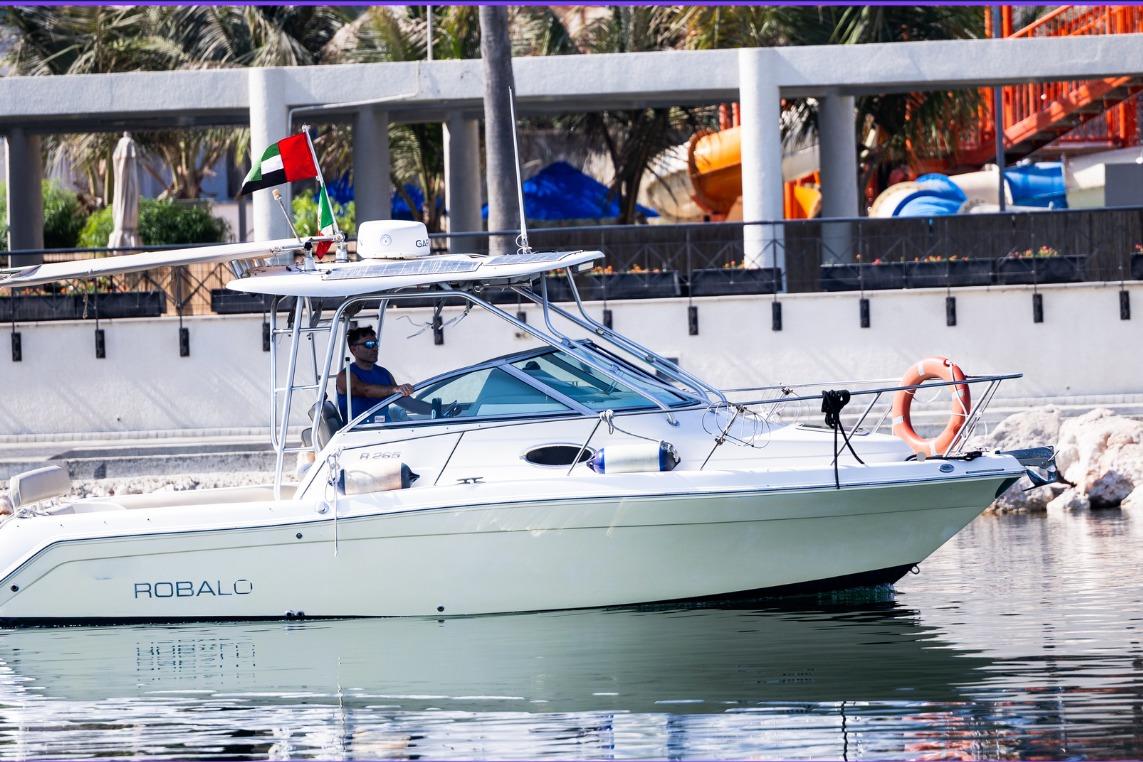 Robalo R265 Walkaround