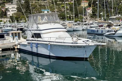 1995 Bertram 46 Flybridge Motor Yacht