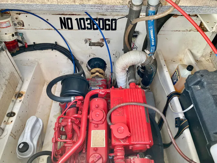 Naked Lobster Yacht Photos Pics 