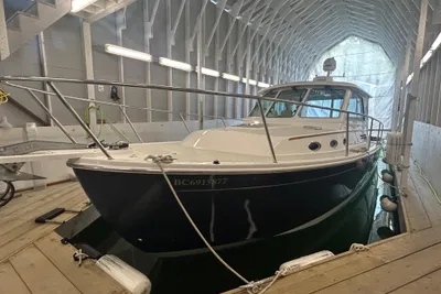Back Cove 34