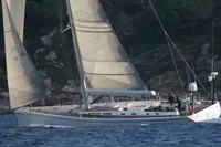 Felci 71