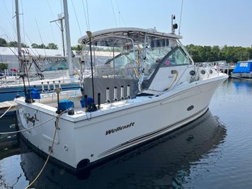 Wellcraft Coastal 330
