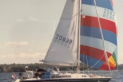 Dufour Classic 31