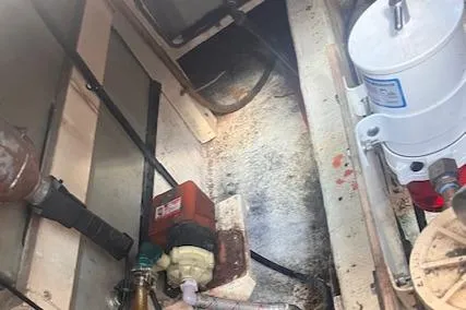 Amadon Light Yacht Photos Pics 