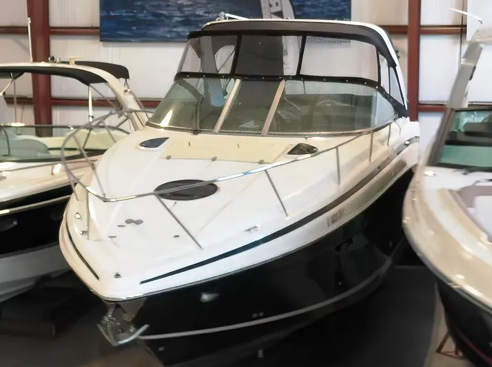 Champagne For No Reason Yacht Photos Pics 