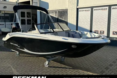 2025 Bayliner Element M17