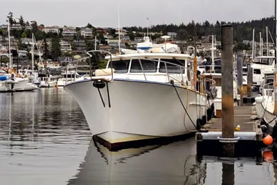Westcoast 46 Express Cruiser