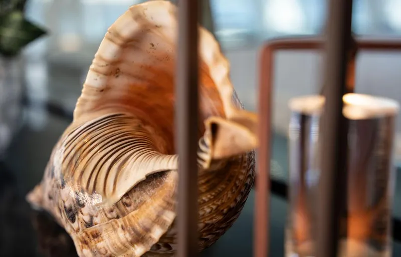 Rosa Del Mar Yacht Photos Pics 