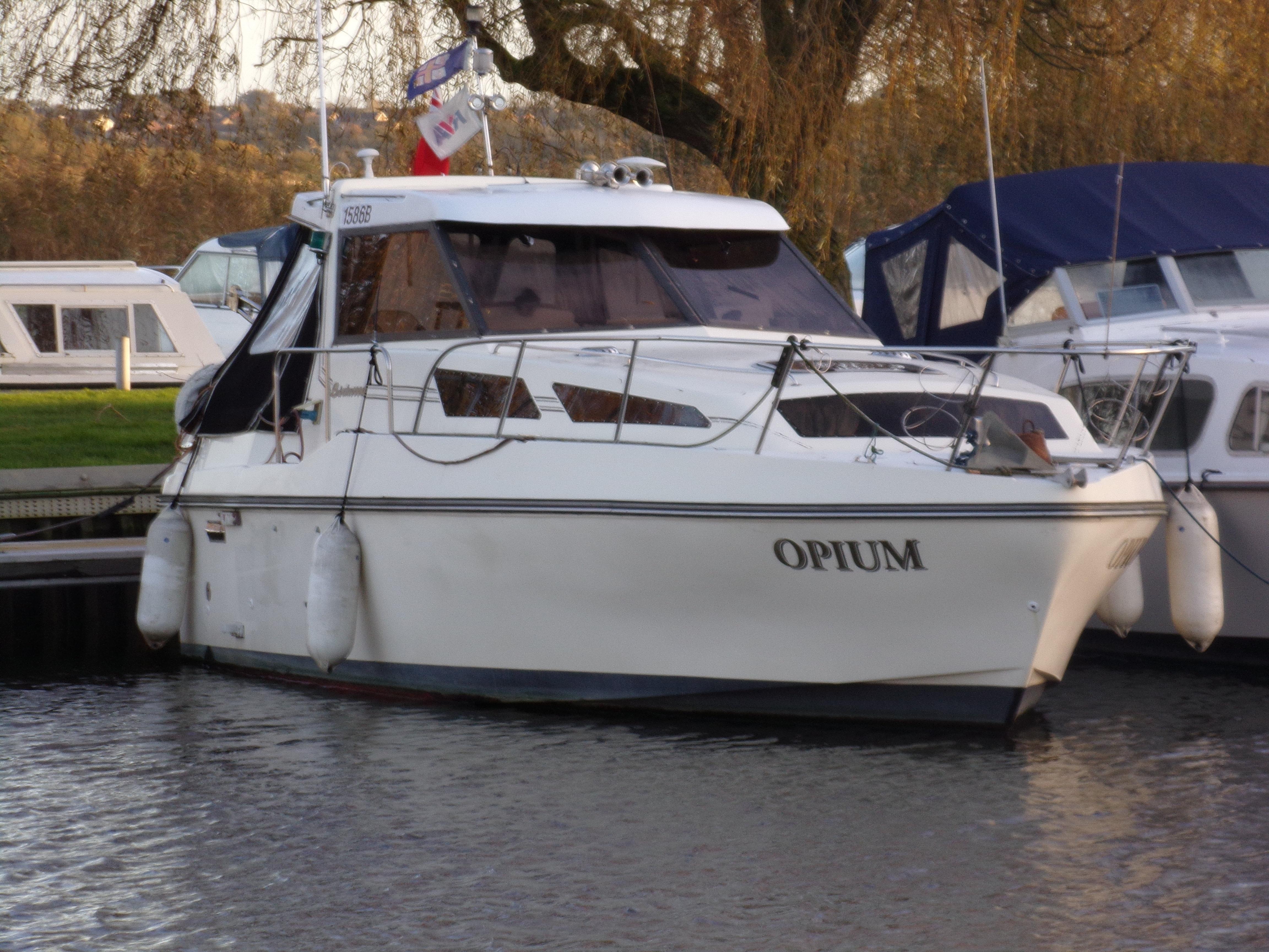 1984 Birchwood Countess 25