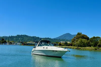 Sea Ray 340 Sundancer