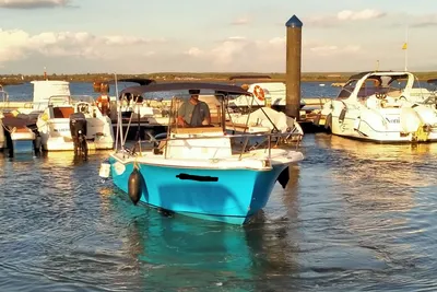 2002 White Shark 205