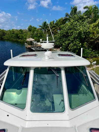 Someday's Here Yacht Photos Pics 