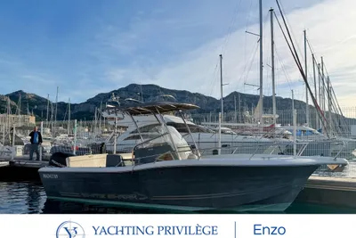 2007 White Shark 245