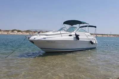 1996 Sea Ray 240 DA Sundancer