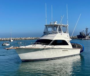 Ocean Yachts 38 Super Sport