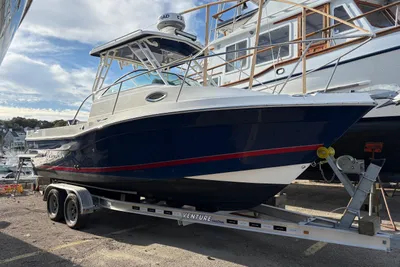 Striper 230 Walkaround