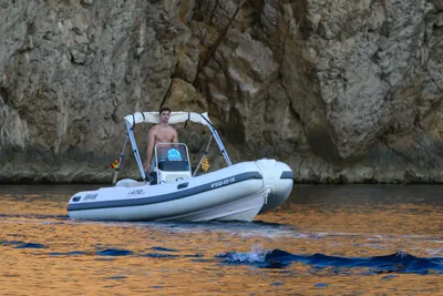 2018 Selva 470