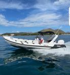 2016 Selva 800