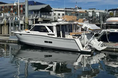 Cutwater C-288 Coupe