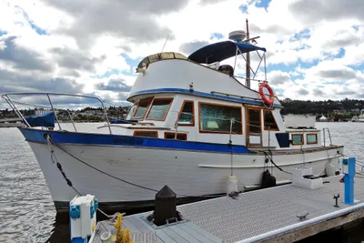 Eagle 35 Tri-Cabin