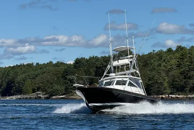 Black Watch 33