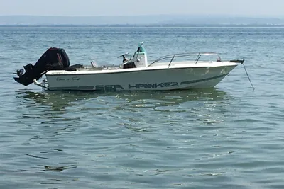 1994 Chris-Craft Sea Hawk