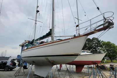 Shannon 43