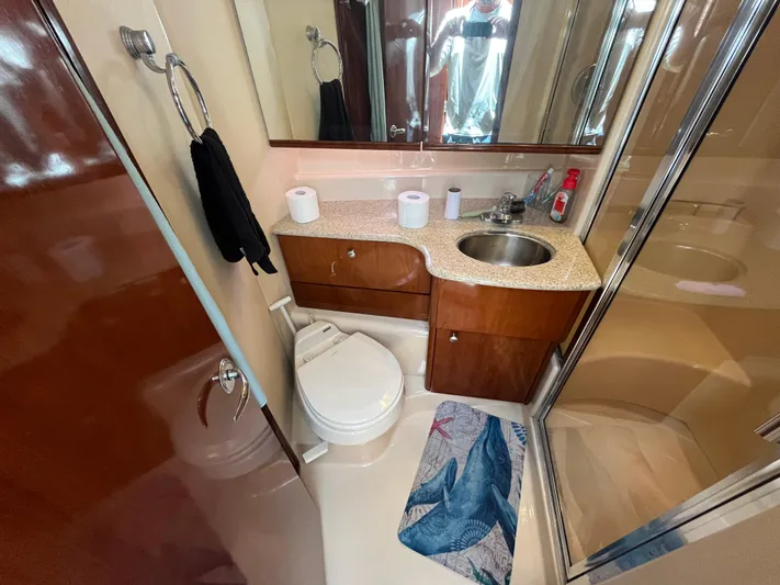 Compass Rose Yacht Photos Pics Bathroom interior of 2006 Meridian 341 Sedan yacht with sink, toilet, and shower.