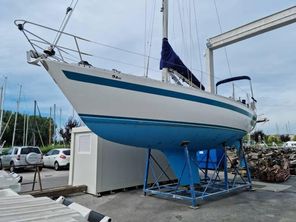 1977 Alpa  Offanengo Alpa  Offanengo ALPA 34