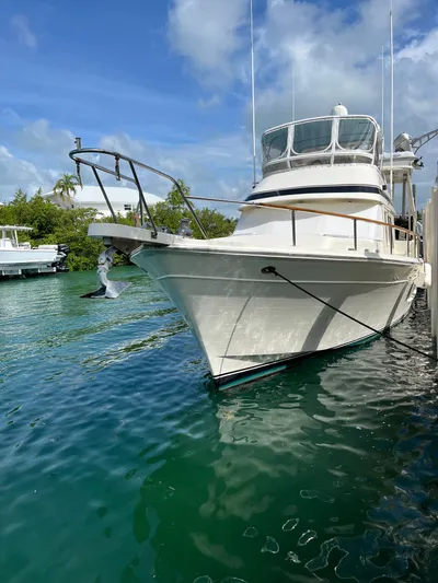 Soca Yacht Photos Pics 