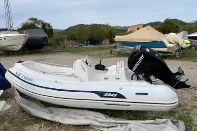 2009 AB Inflatables 11