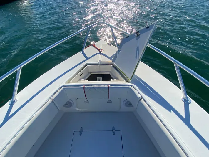 Bohica Yacht Photos Pics 