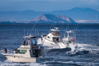 1990 Hatteras Hatteras 38 Fly Bridge
