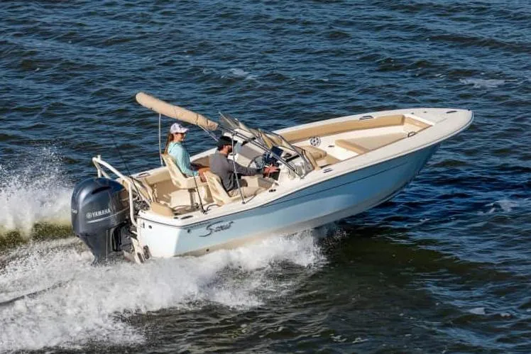 2026 Scout 195 Sport Dorado Photo