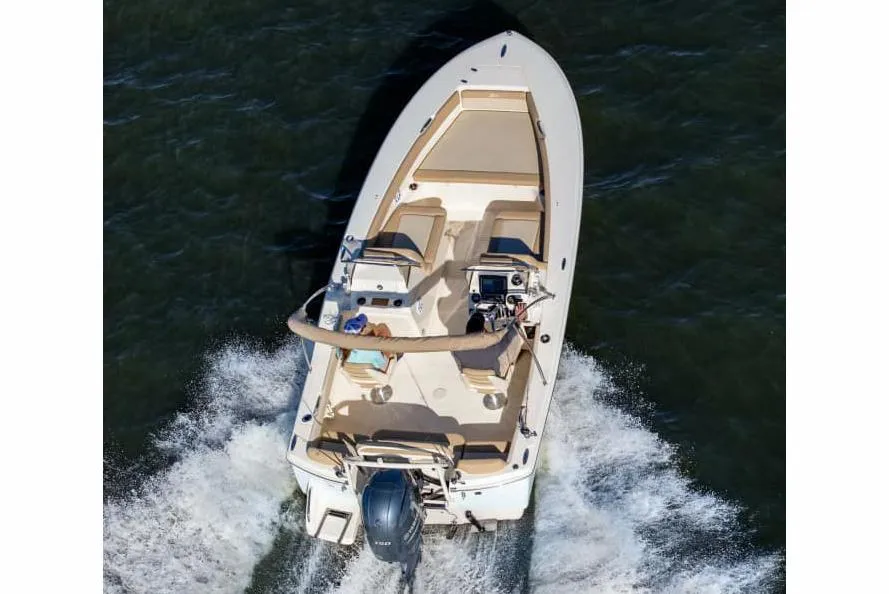 2026 Scout 195 Sport Dorado Photo