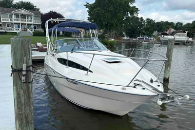Bayliner 245