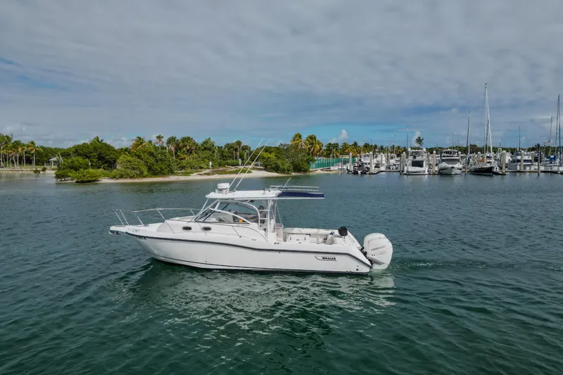  Yacht Photos Pics 2007 Boston Whaler 305 Conquest boat cruising near a marina with palm trees.