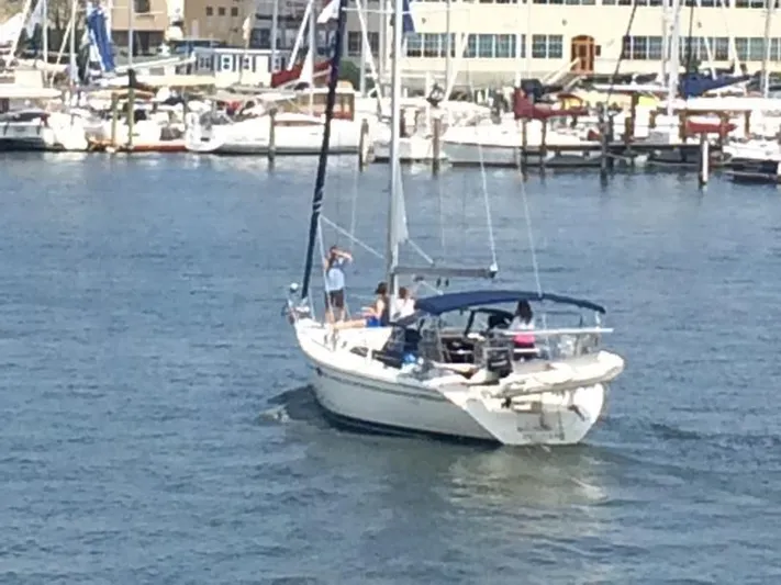 Licentia Yacht Photos Pics 2008 Catalina 42 MkII sailboat cruising in a busy marina.