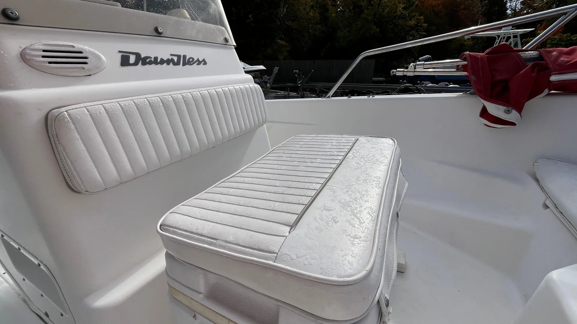 2001 Boston Whaler 16 Dauntless Photo