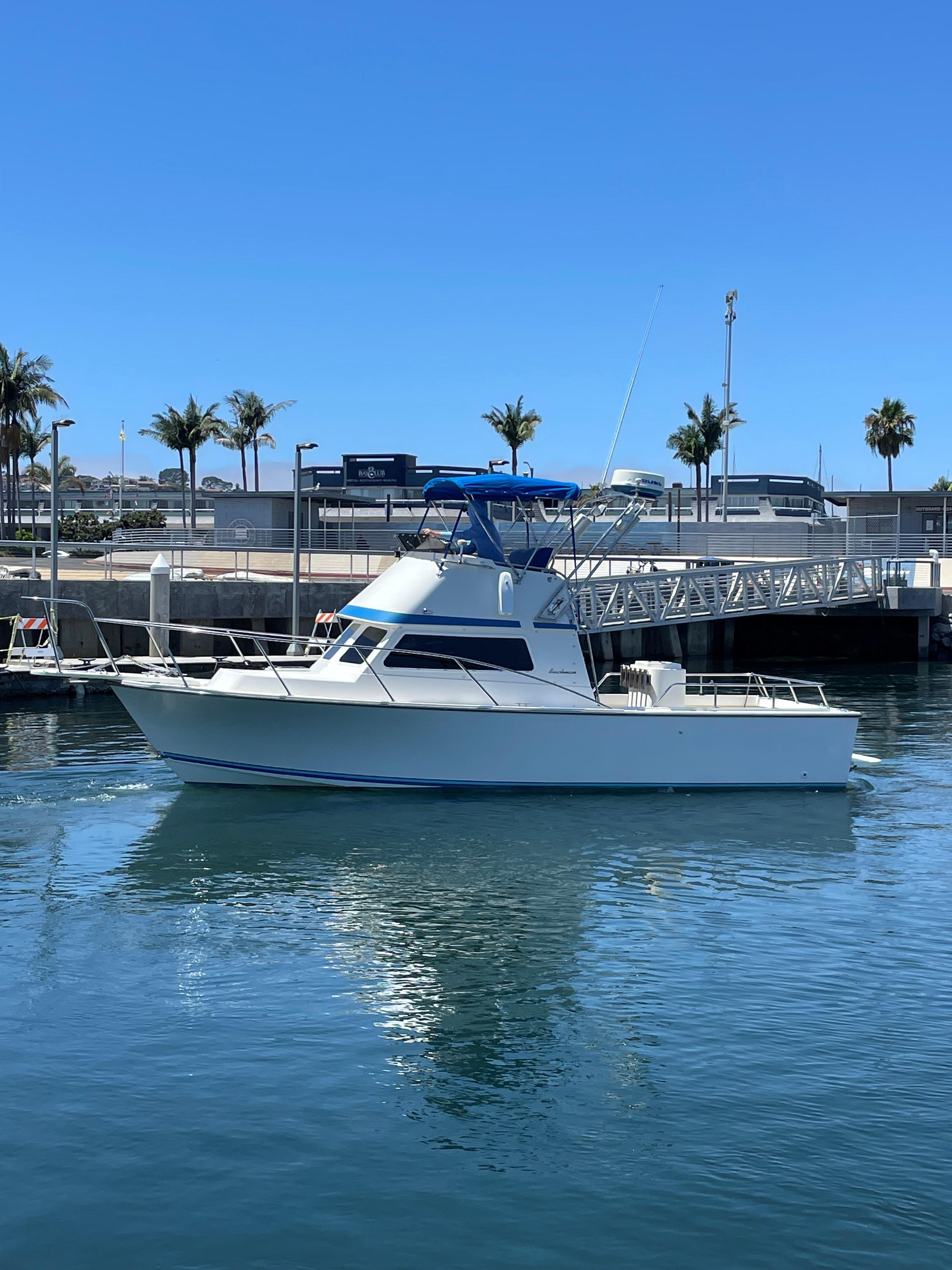 1989 Blackman 26 Billfisher Flybridge for sale YachtWorld