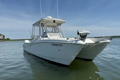 2008 World Cat 270 TE