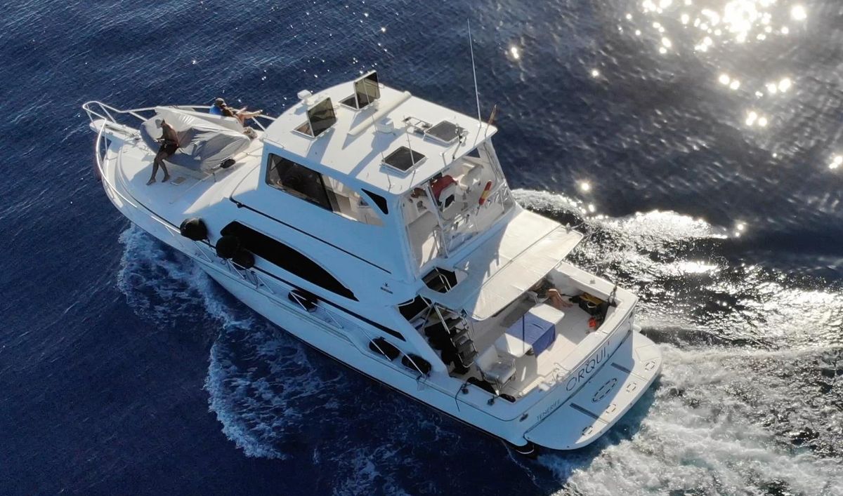 2004 Bertram 54 