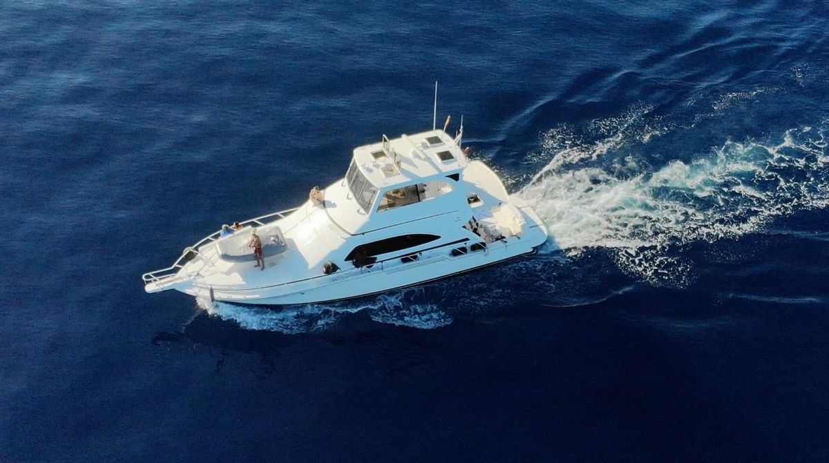 2004 Bertram 54 