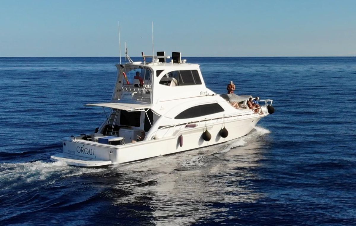 2004 Bertram 54 