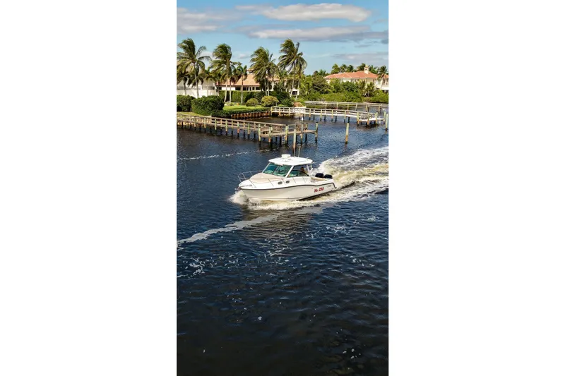 Mr Ceo Yacht Photos Pics 2015 Boston Whaler 315 Conquest cruising on a scenic waterway with palm trees.