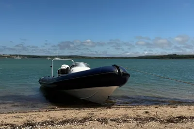 2002 Ribtec 655