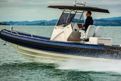 2022 Protector 310 Chase