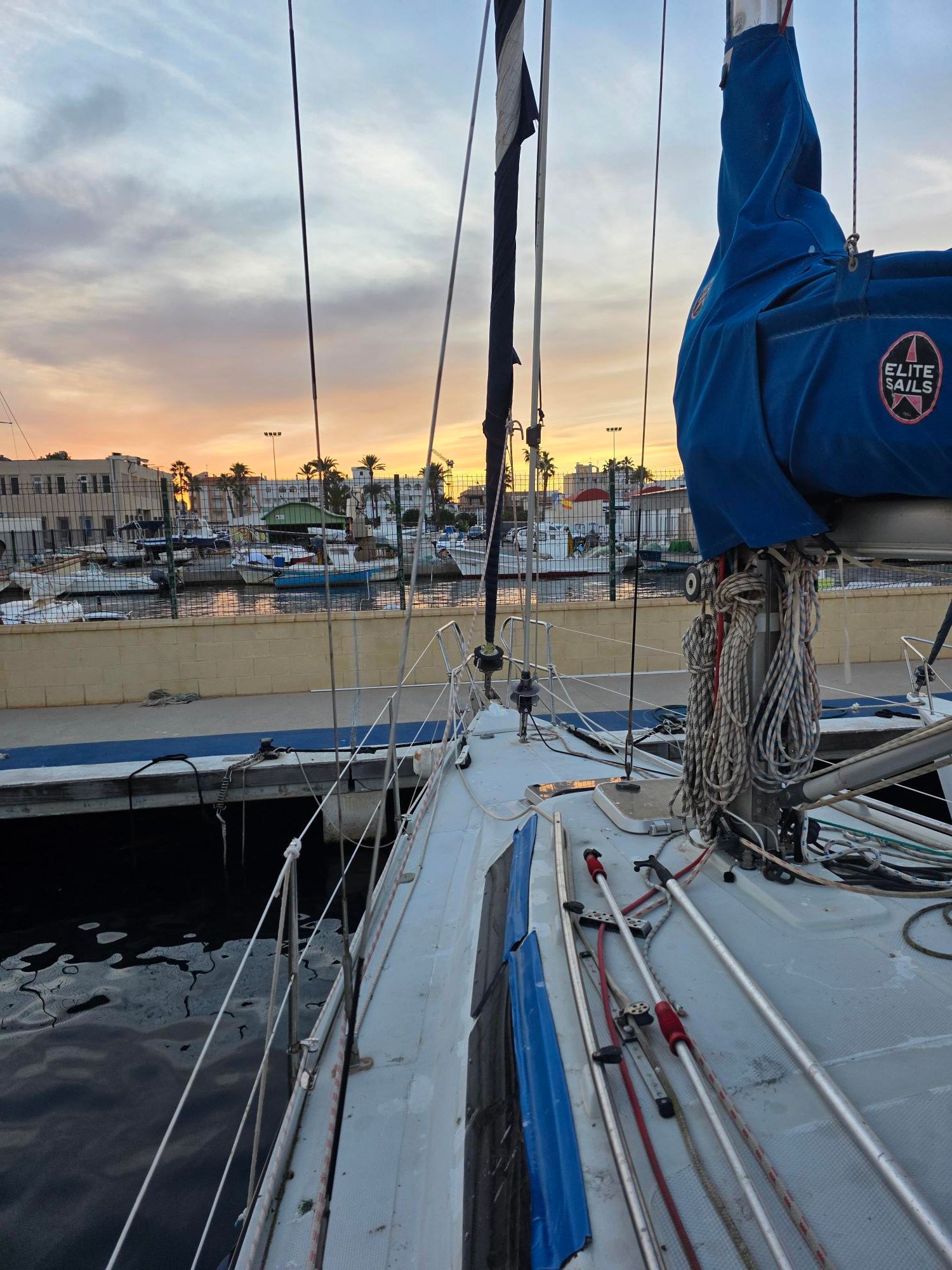 1989 Wrighton Biloup 102