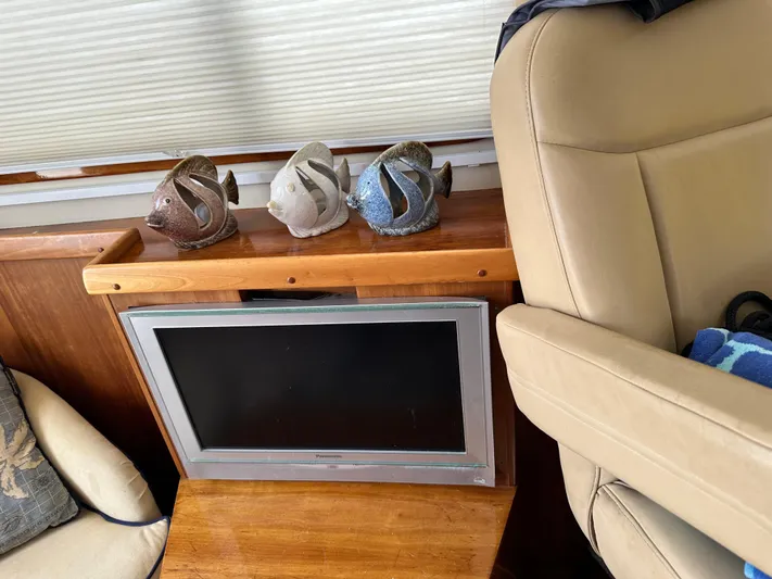 Blue Sora Yacht Photos Pics Interior of 2005 Legacy 42 with TV, fish sculptures, and beige seating.
